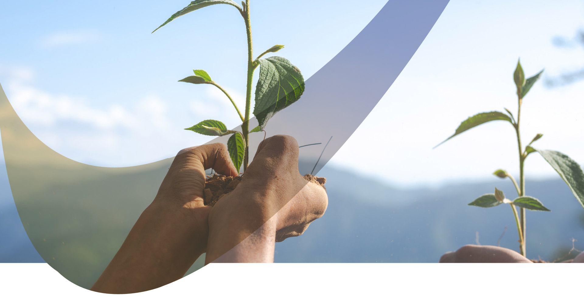 Environmental Policy